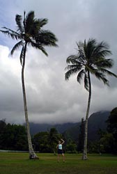 righteous babe, hanalei, kaua'i.